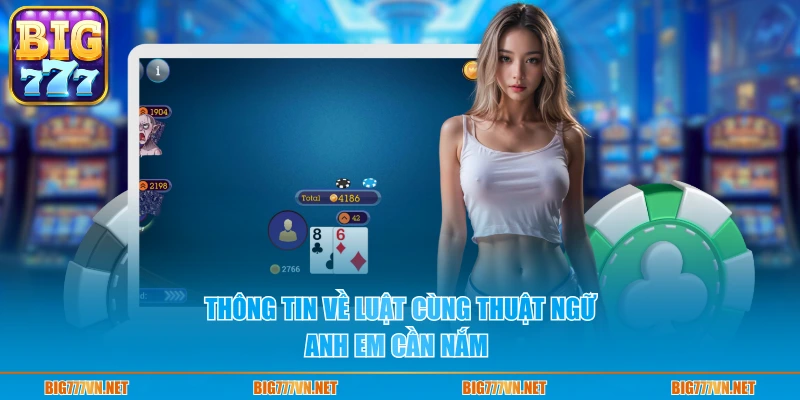 Thông tin về luật cùng thuật ngữ anh em cần nắm 